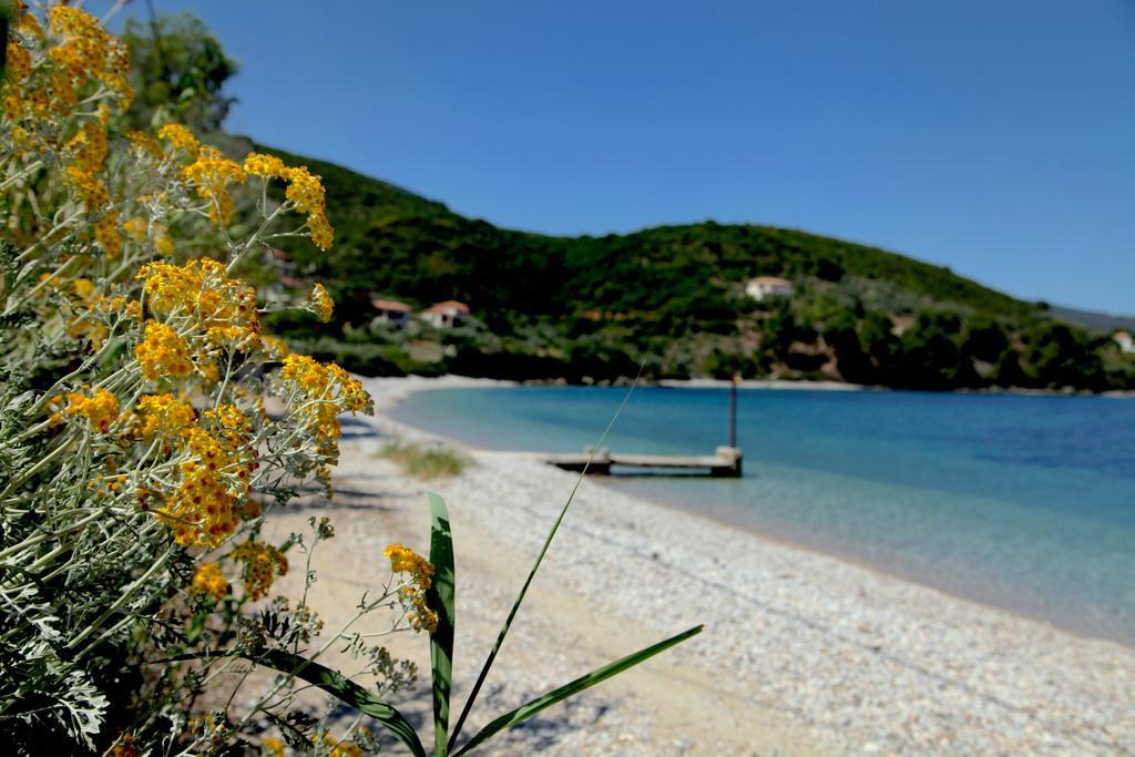 Casa Kalypso Suites & Villa Steni Vala Alonissos Exterior foto